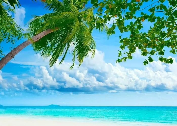 Royale By Arc Royal Luxury Apts Anse Royale