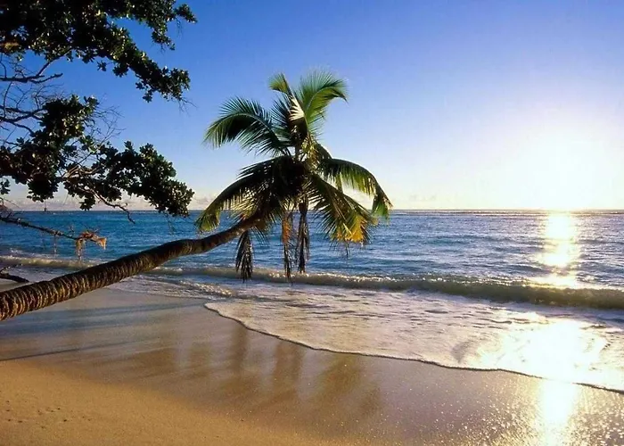 Royale By Arc Royal Luxury Apts Anse Royale